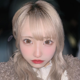 [1Day]Primore Pri Girl Camel プリモア プリガールキャメル